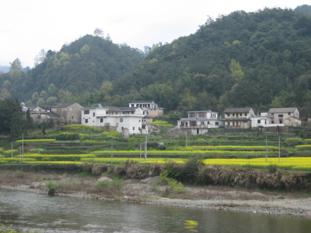aD38Ym88.jpg