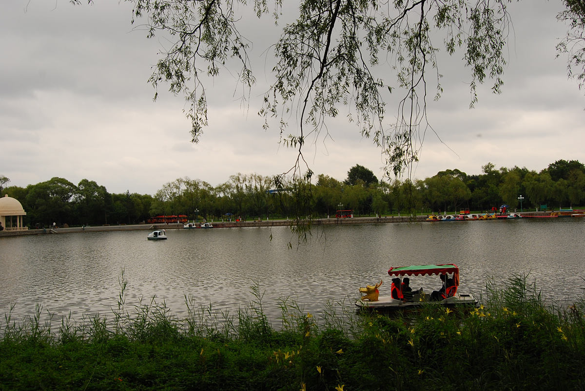 DSC_1987.jpg