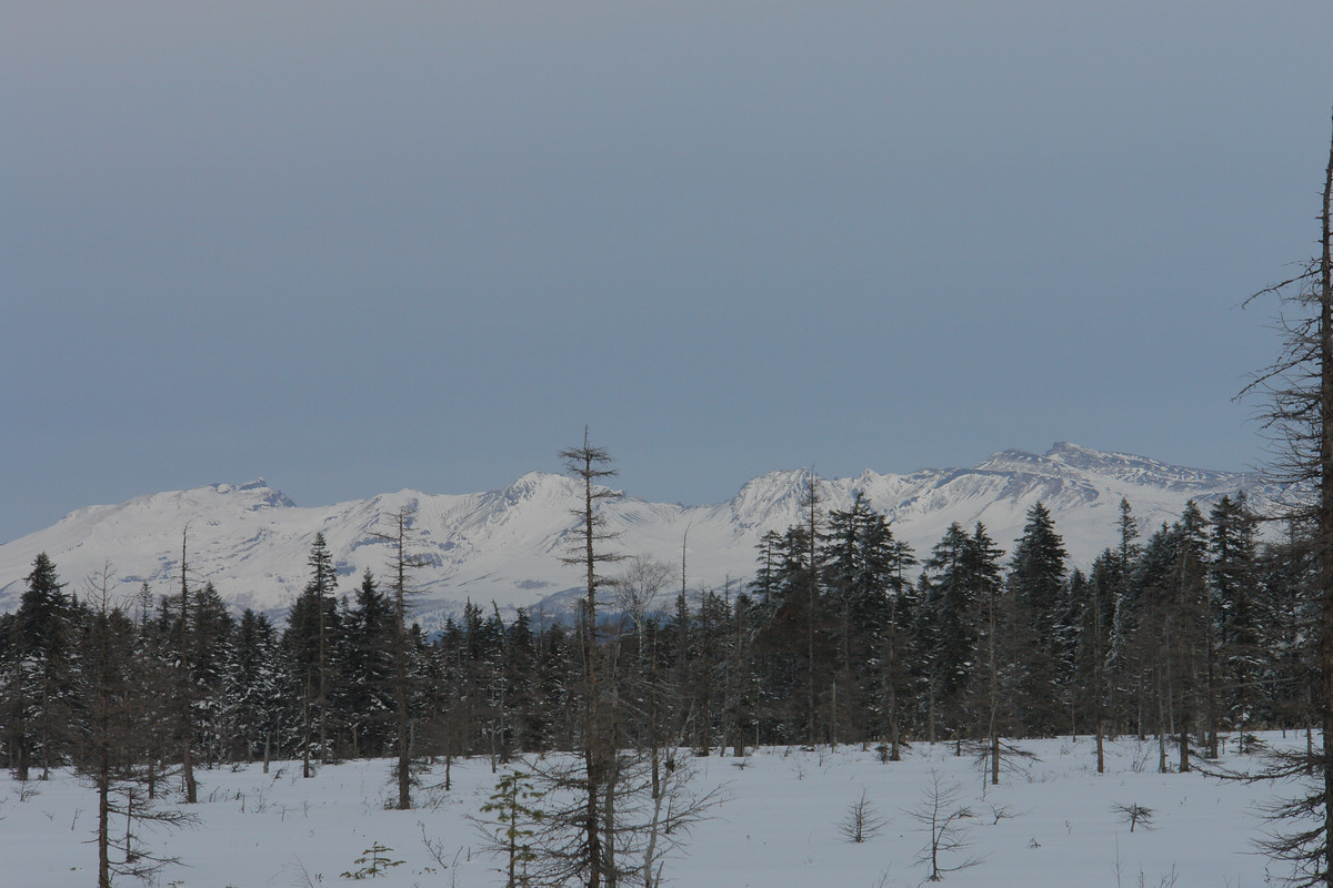 DSC00776.jpg