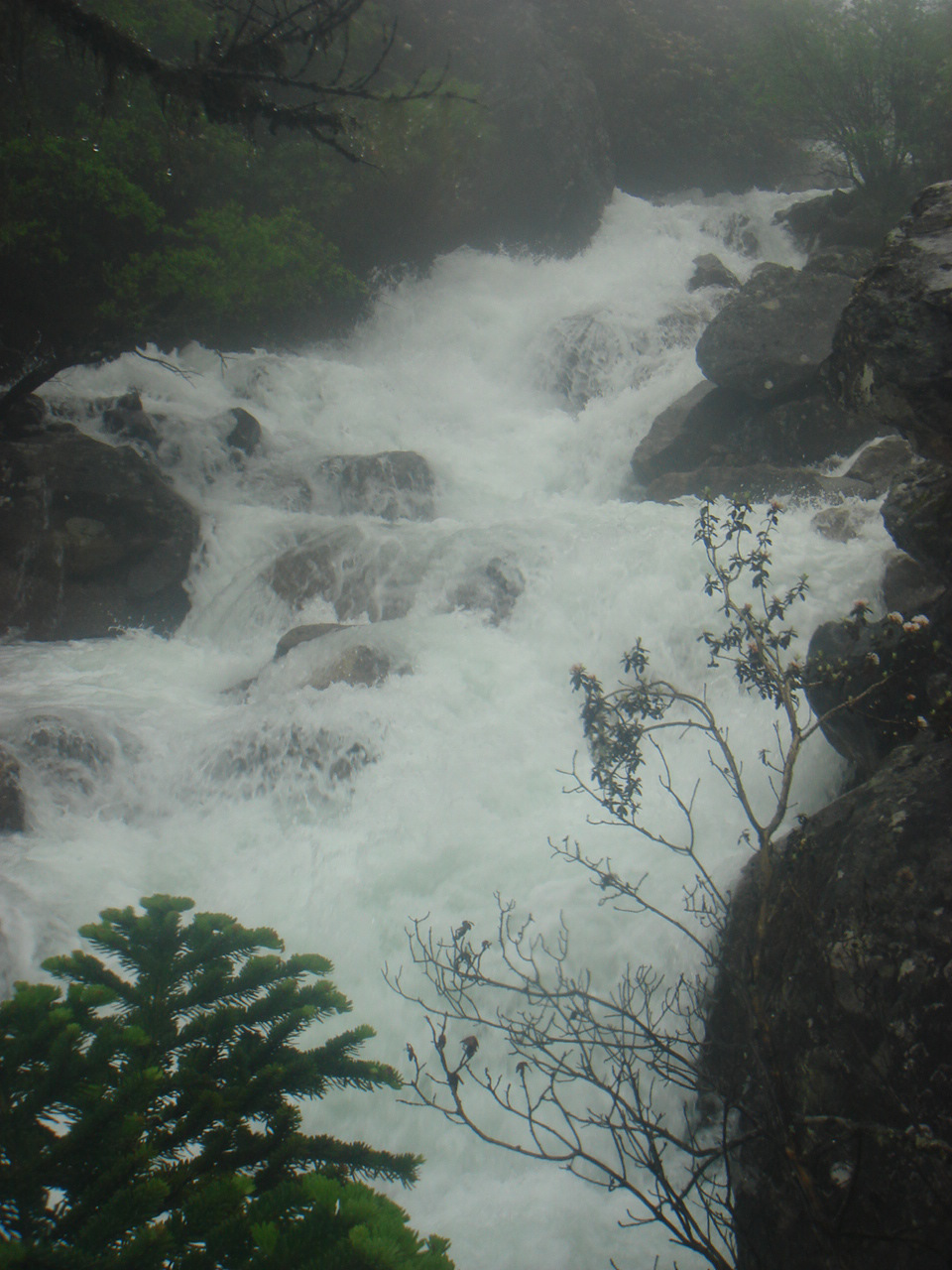 DSC08297.jpg