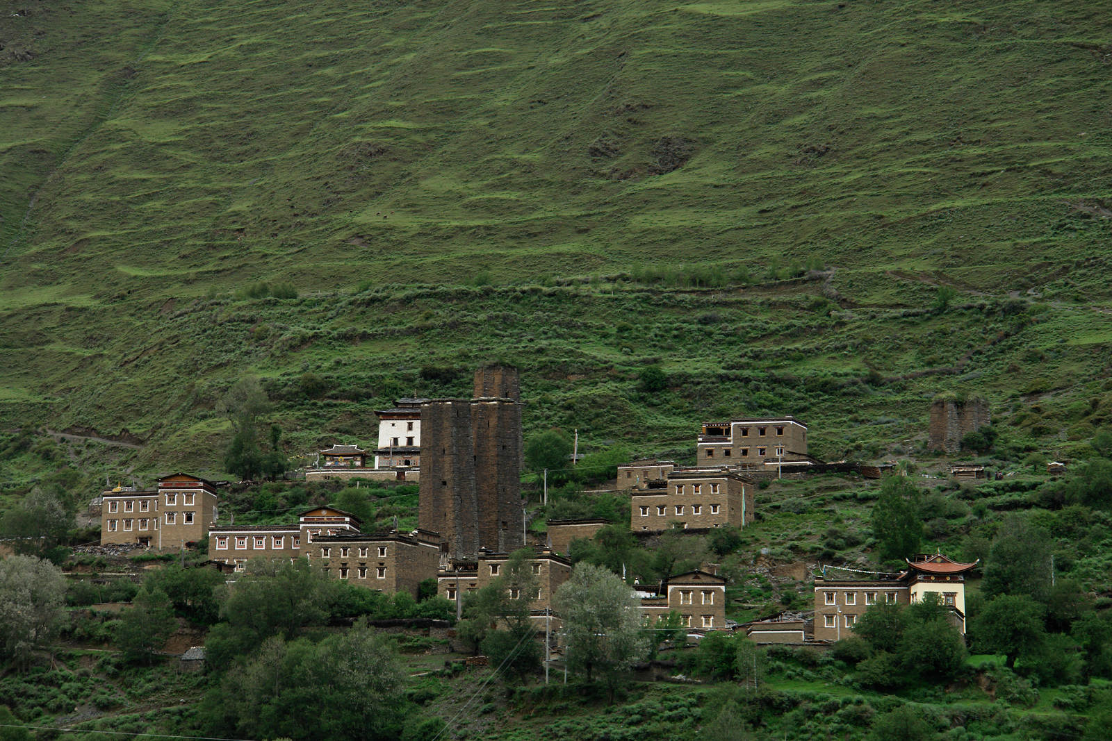 DSC07090.jpg