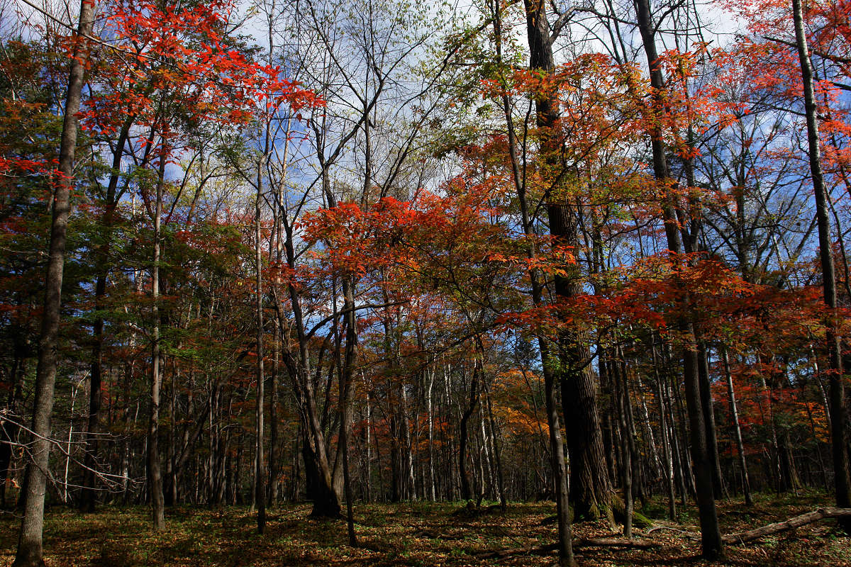 DSC03855.jpg
