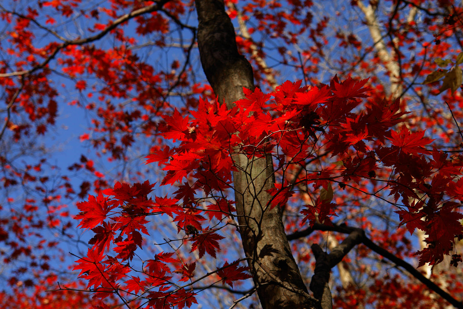 DSC05581.jpg