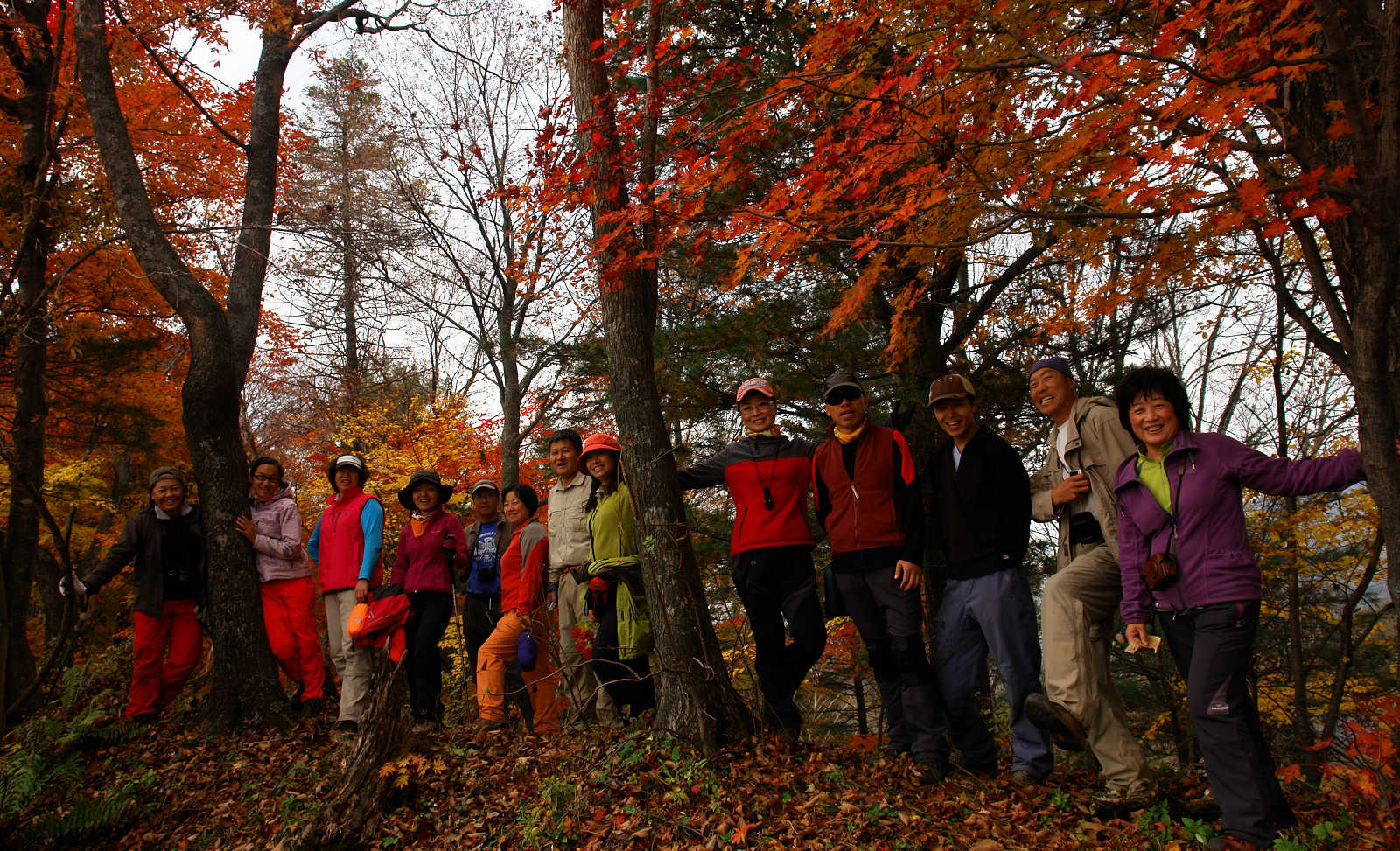 DSC04740.jpg