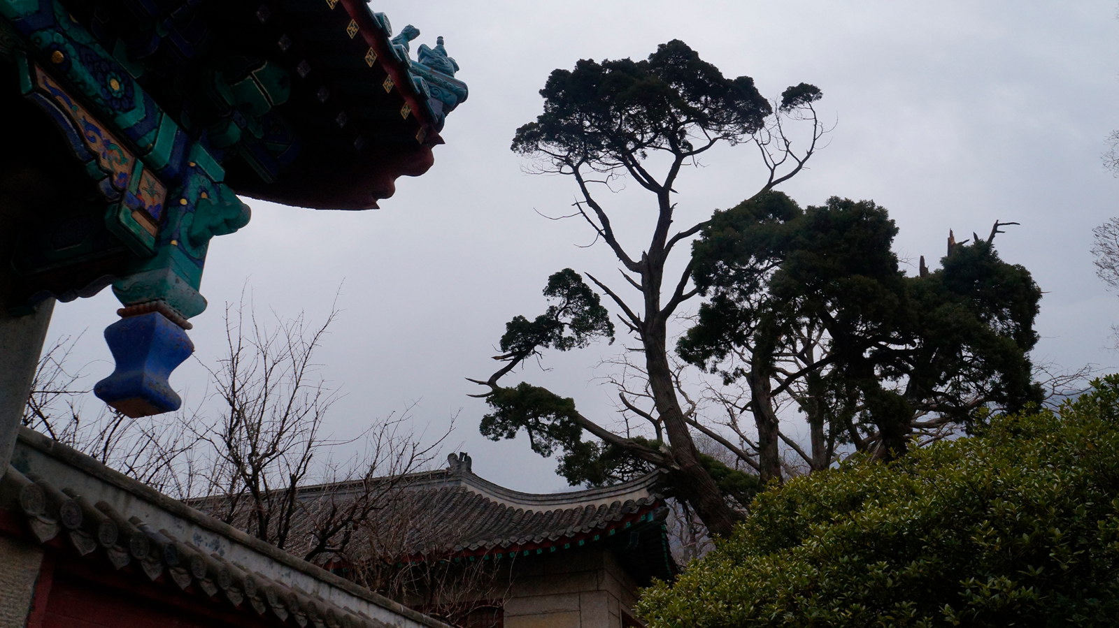 _DSC1324_副本.jpg