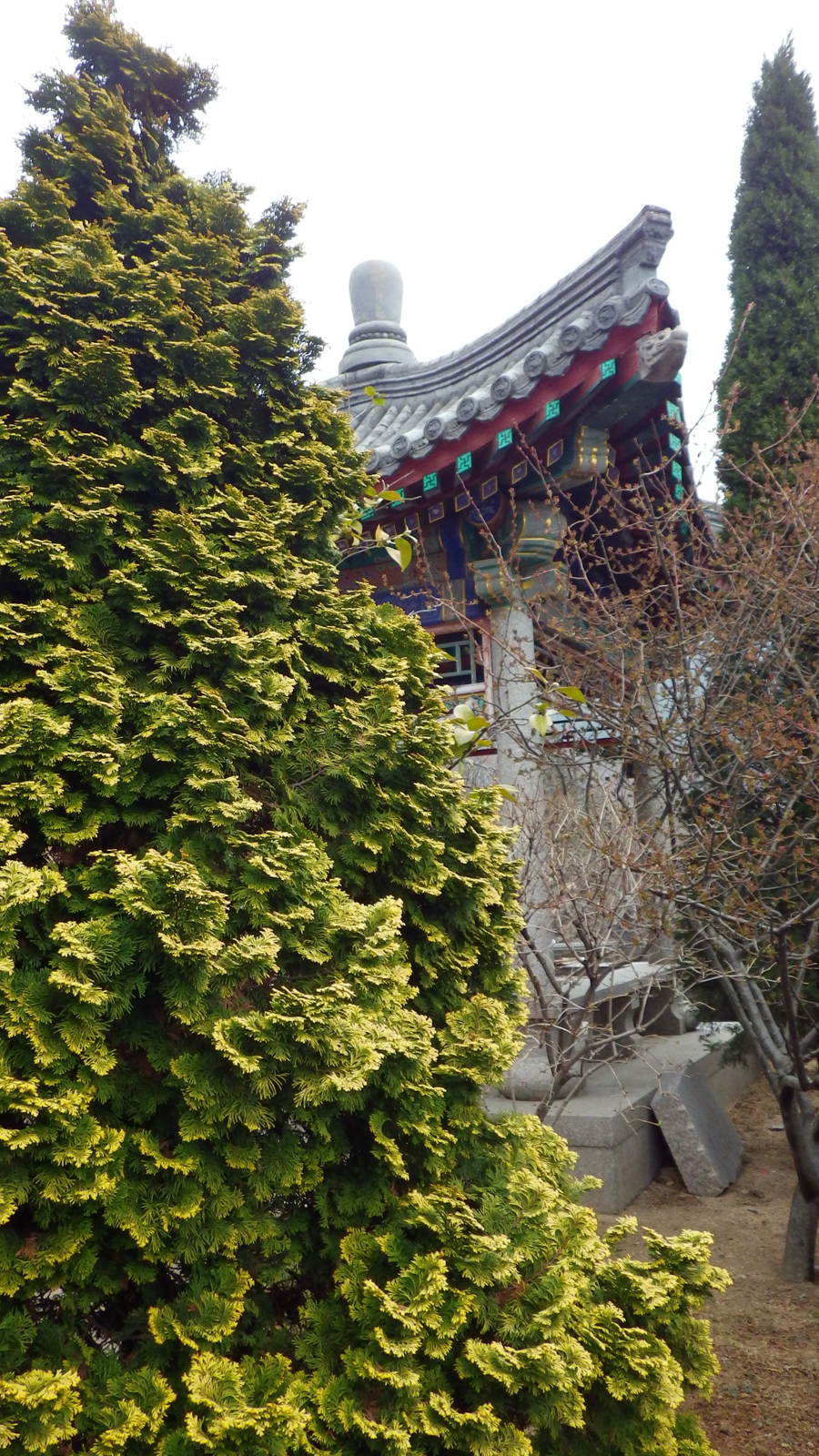 IMGP0648_副本.jpg