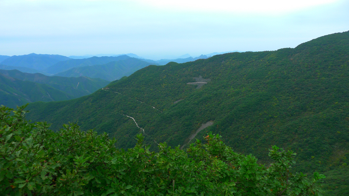 P1140459.jpg