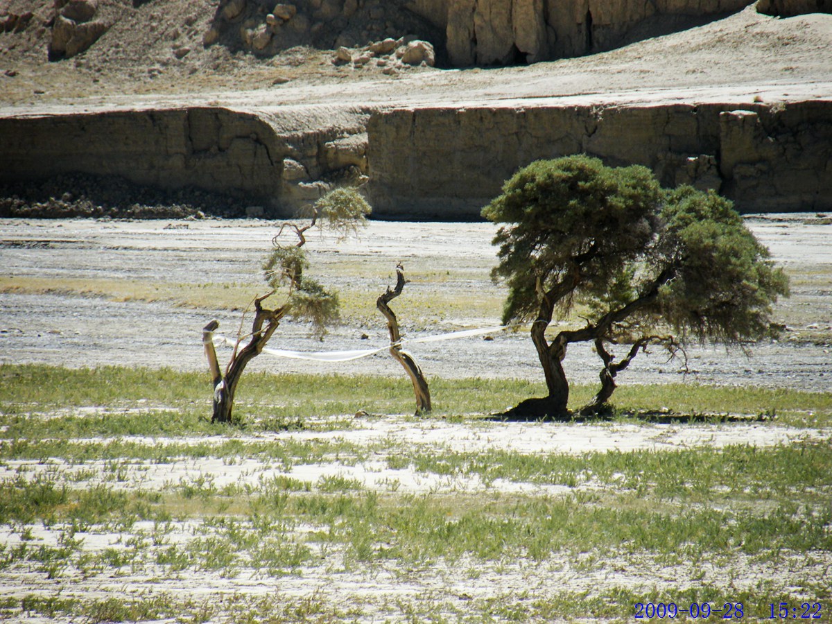 DSCF4783.jpg