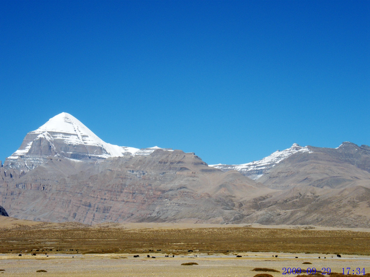 DSCF4951.jpg