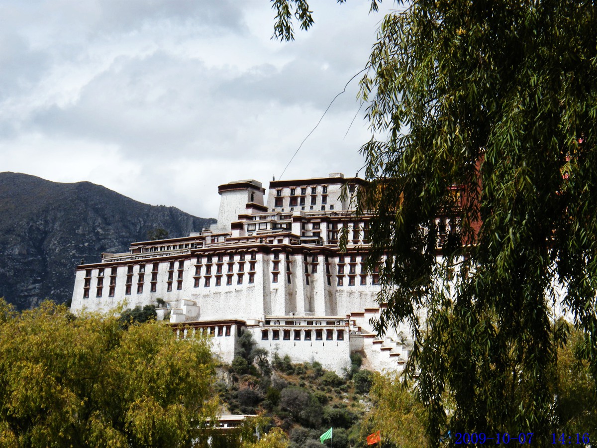 DSCF5351.jpg