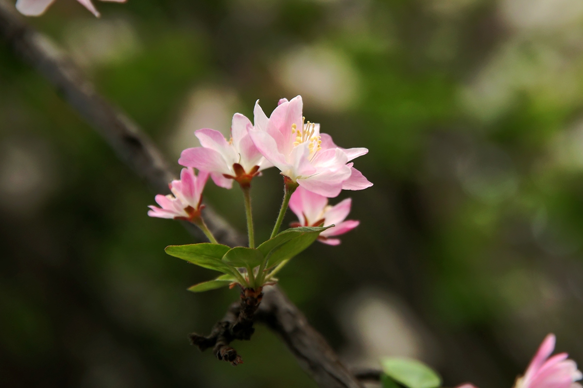 O16A6101.JPG