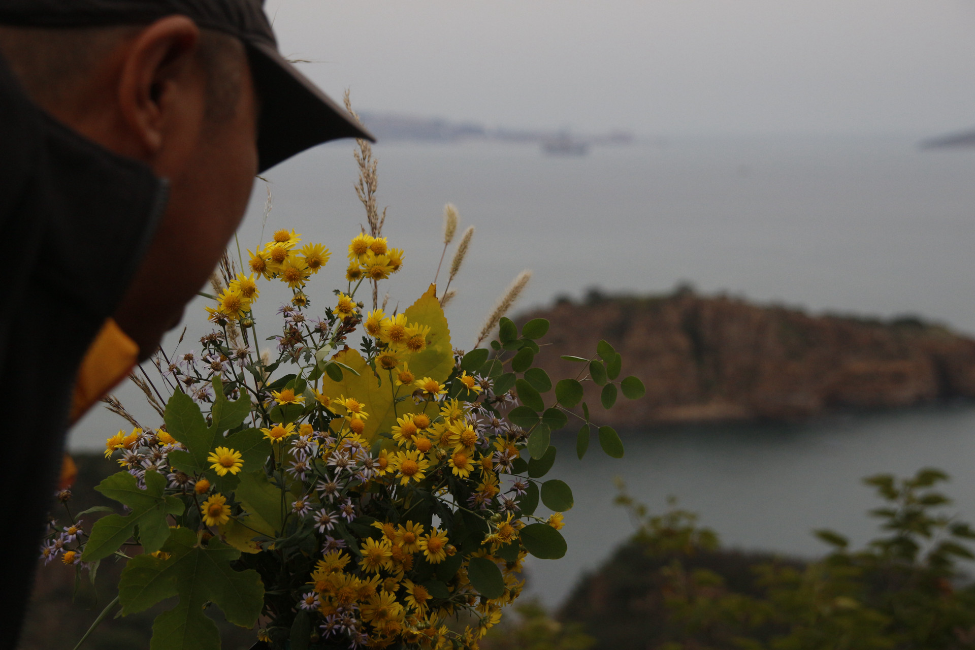 玉兰园观景台20171015 (58)_副本.jpg