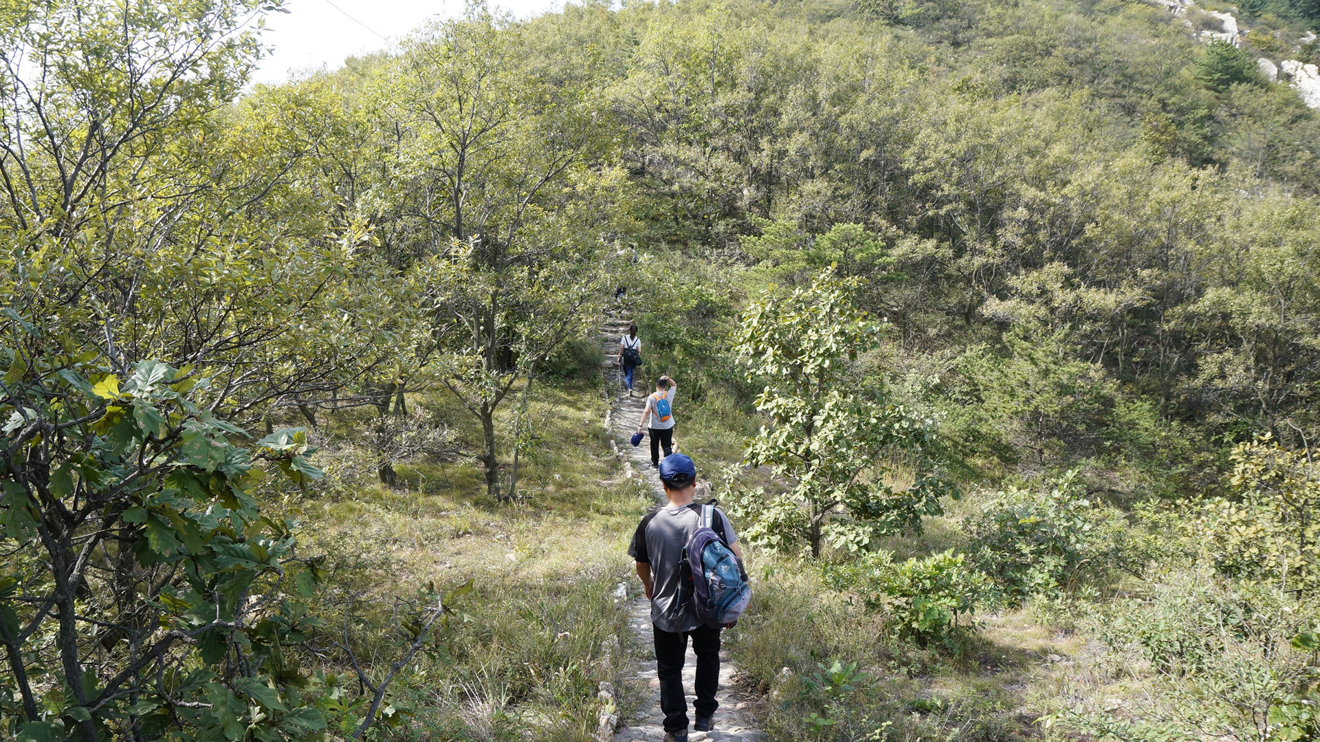 大世界2017一届山地定向赛-信用证 (40)_副本.jpg