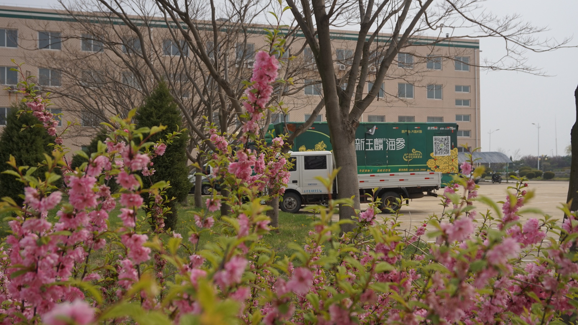 20190430新玉麟皮口 (2)_副本.jpg