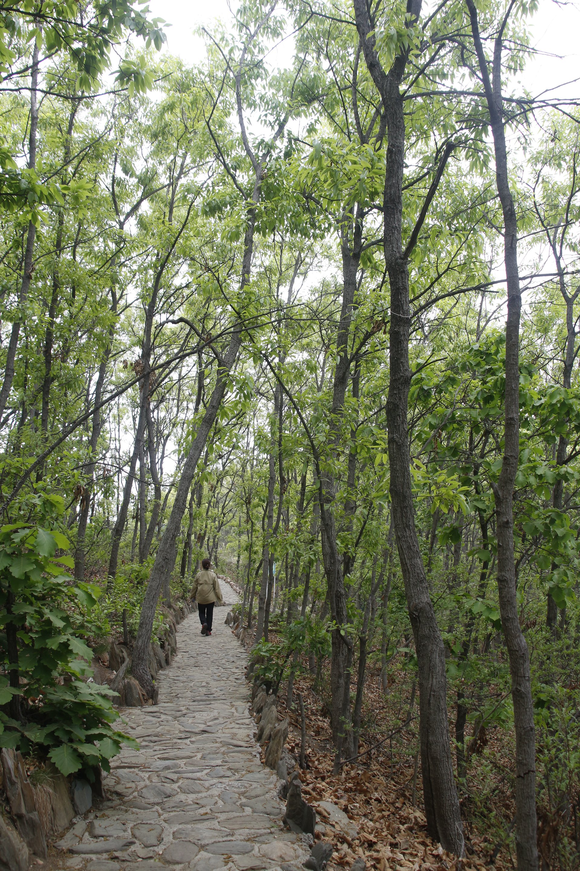 20190511周末金狐山露营 (40)_副本.jpg