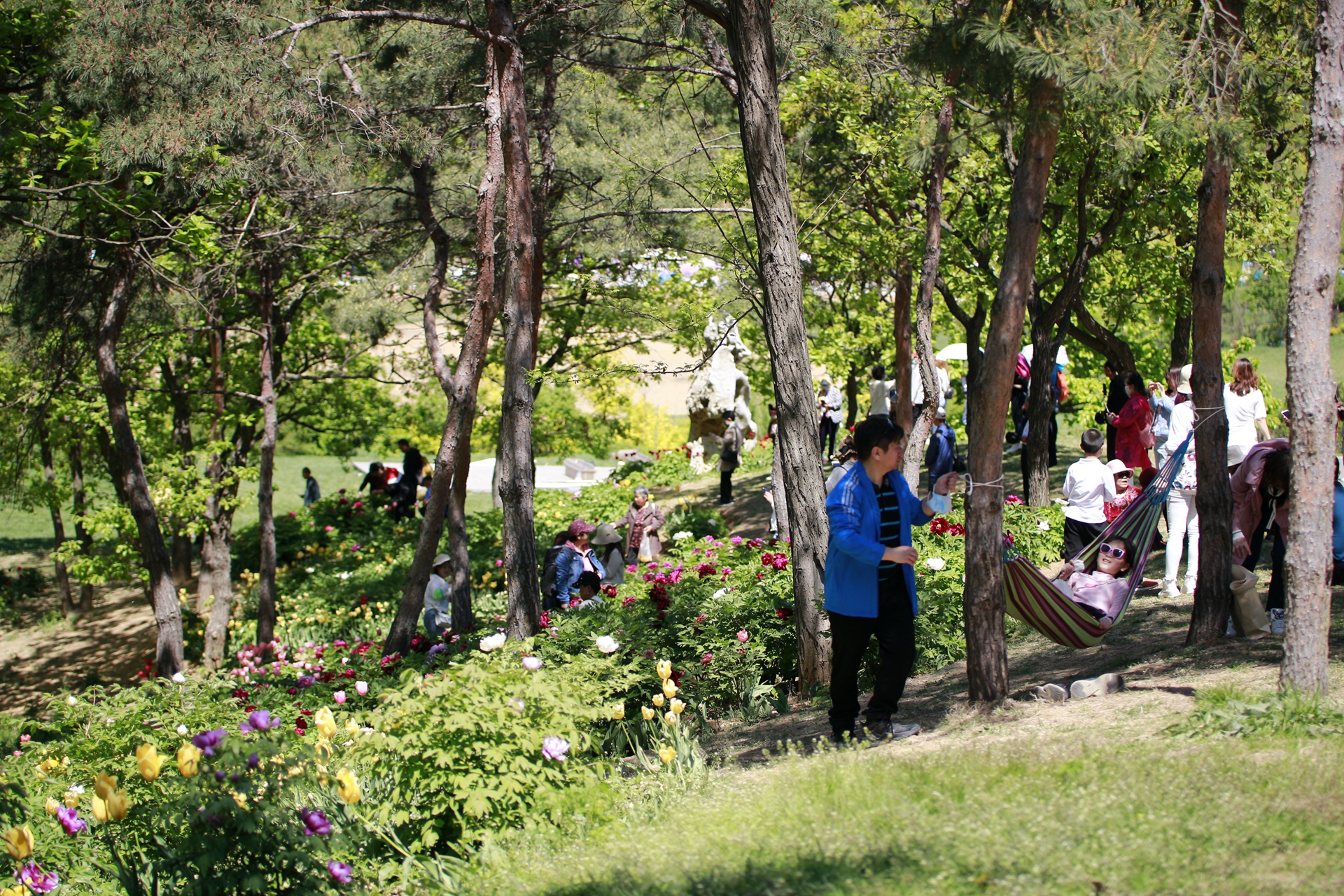20210509英歌石植物园-信用卡 (214).jpg